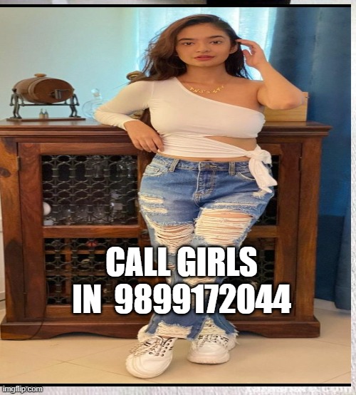 CALL GIRLS IN Sarvodaya Enclave 9899172044 SHOT 1500 NIGHT 6000