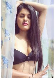 9667753798 low Costly Call Girls In Noida Sector 16 Delhi ...