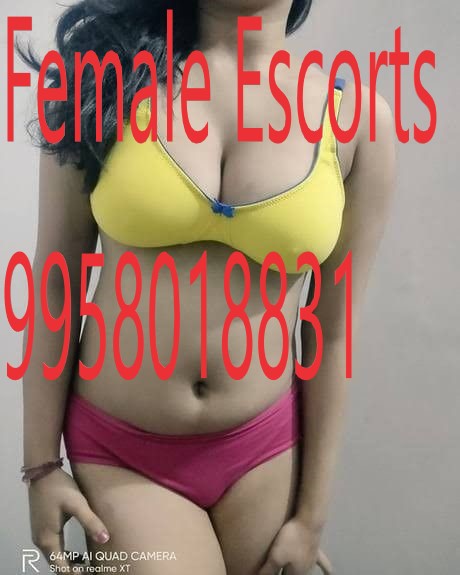 Call girls Rana Pratap Bagh +91-9958018831